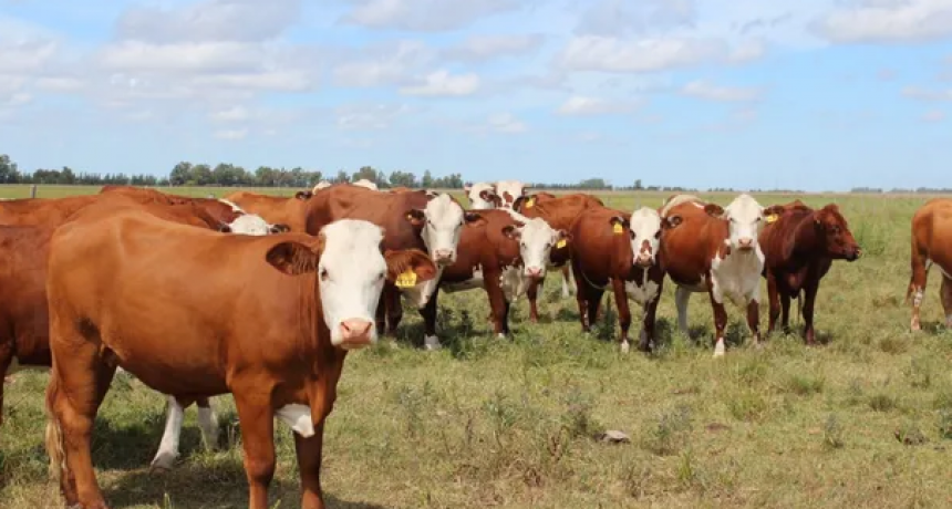 Un productor rural perdi&oacute; m&aacute;s de 6 millones de pesos en un abigeato