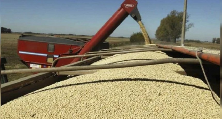 Nubarrones para las reservas: el precio internacional de la soja sigue en ca&iacute;da