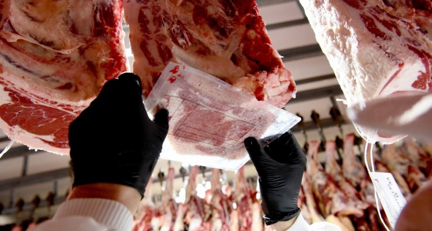 El Gobierno moderniza el sistema de gesti&oacute;n de la tipificaci&oacute;n bovina para alcanzar el 100% de cobertura nacional