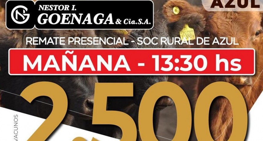 Este mi&eacute;rcoles se realiza el remate mensual de N&eacute;stor I.Goenaga y C&iacute;a