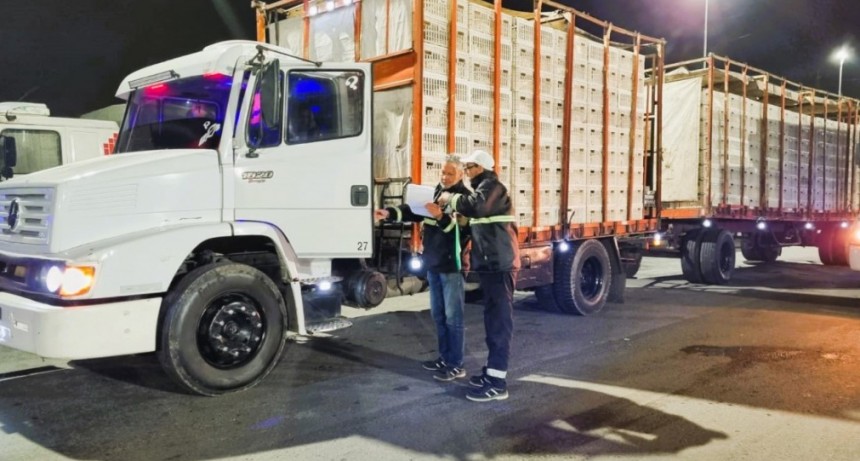 Habilitaci&oacute;n de transportes de animales vivos y productos de origen animal