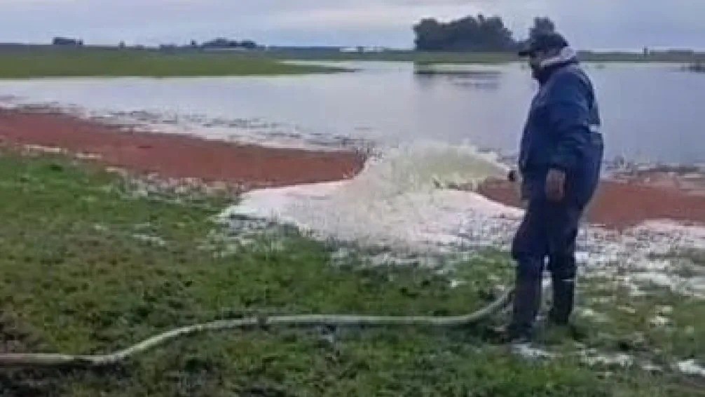 Bolívar: derramaron leche de un tambo por el mal estado de los caminos