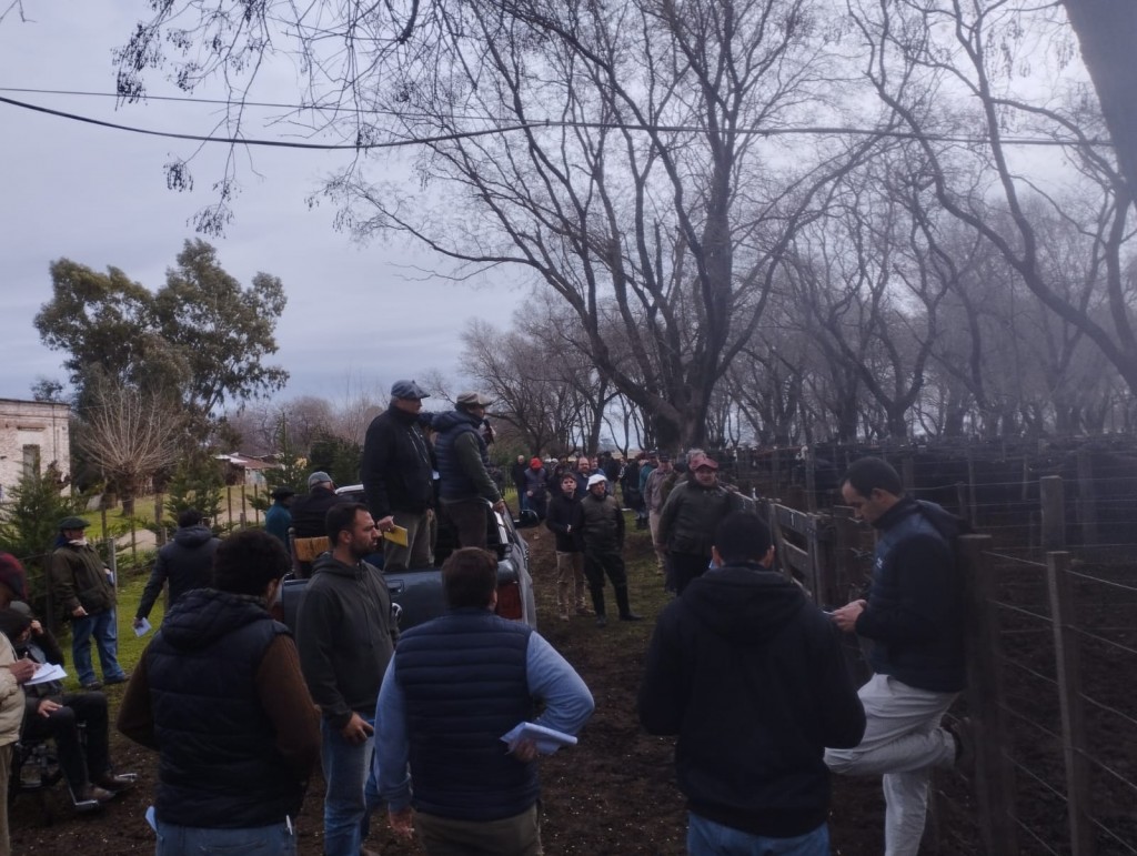 Pasó un nuevo remate mensual de Guillermo Sorsoli 