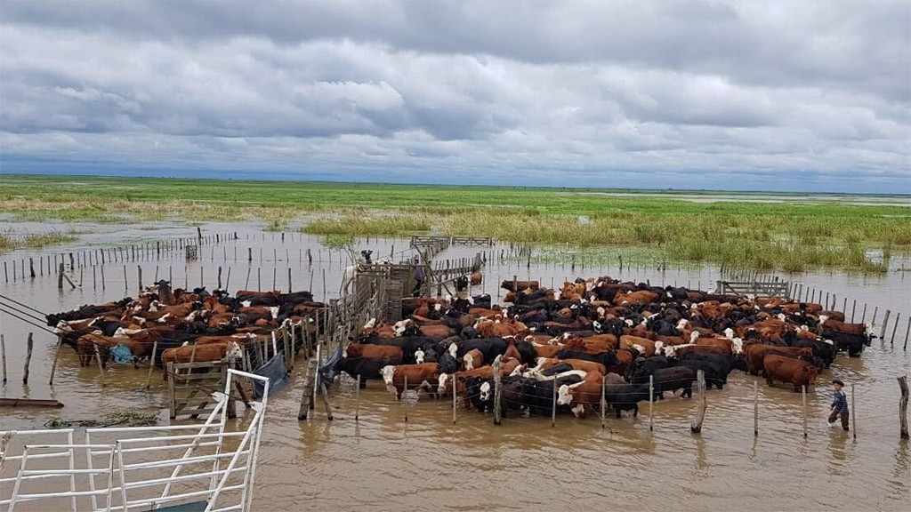 Inundaciones: se estiman 1.000.000 de hectáreas anegadas 