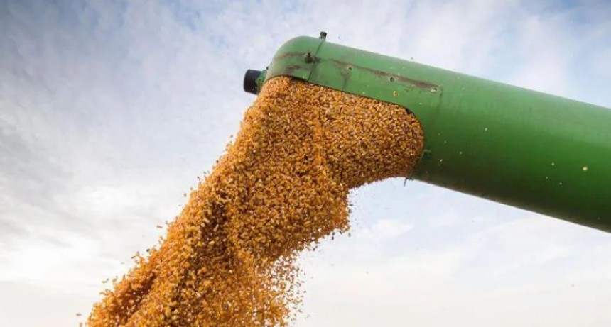 La agroexportaci&oacute;n argentina liquid&oacute; USD 4.102 millones, el mejor mes desde 2002