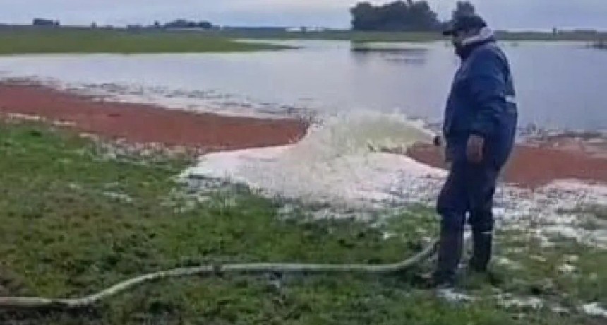 Bol&iacute;var: derramaron leche de un tambo por el mal estado de los caminos