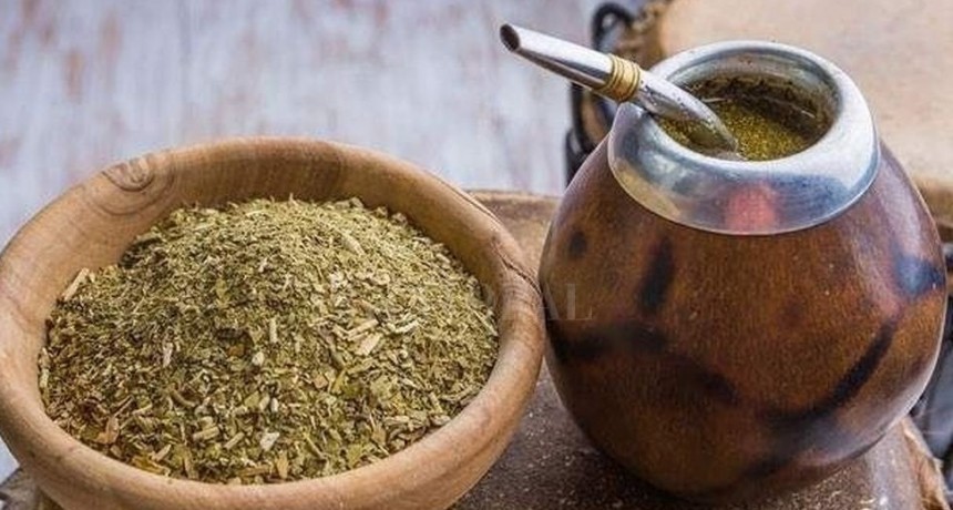 Yerba mate: desde el INYM advierten que el sistema yerbatero &ldquo;est&aacute; en riesgo&rdquo;