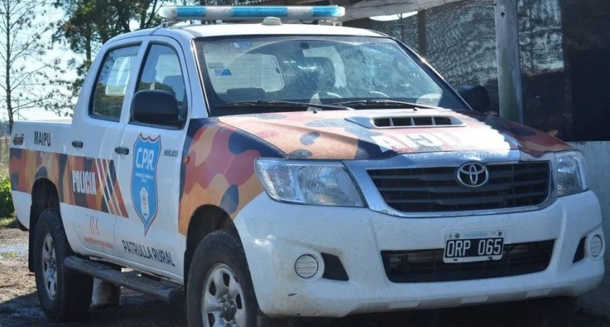 Allanamientos en Tandil: desarticulan una banda dedicada al abigeato
