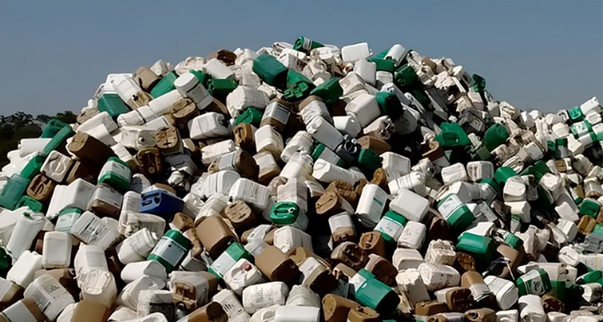Una nueva normativa del Senasa podr&iacute;a reducir la cantidad de envases fitosanitarios en circulaci&oacute;n   