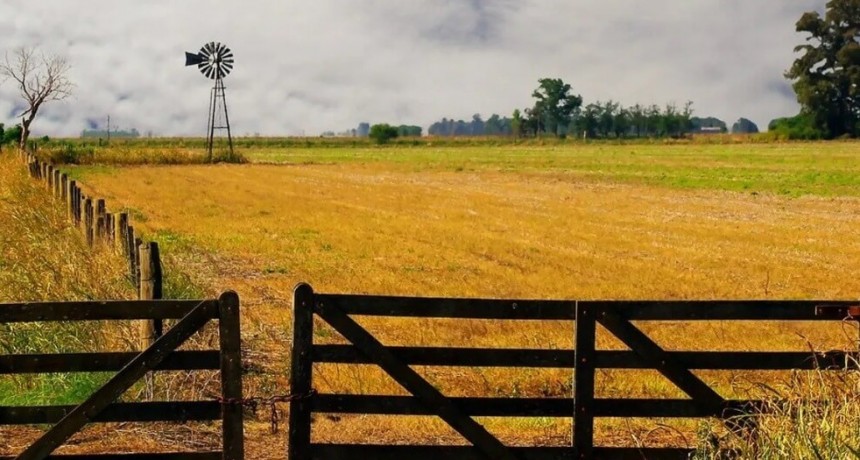 Cultivar la tierra en Argentina, un negocio de &ldquo;terceros&rdquo;: el 70% se hace en campos alquilados