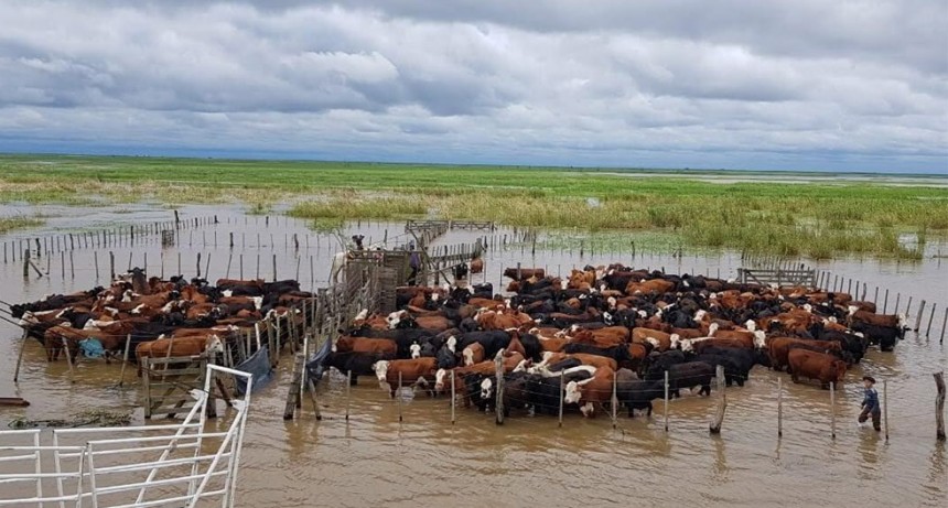 Inundaciones: se estiman 1.000.000 de hect&aacute;reas anegadas 