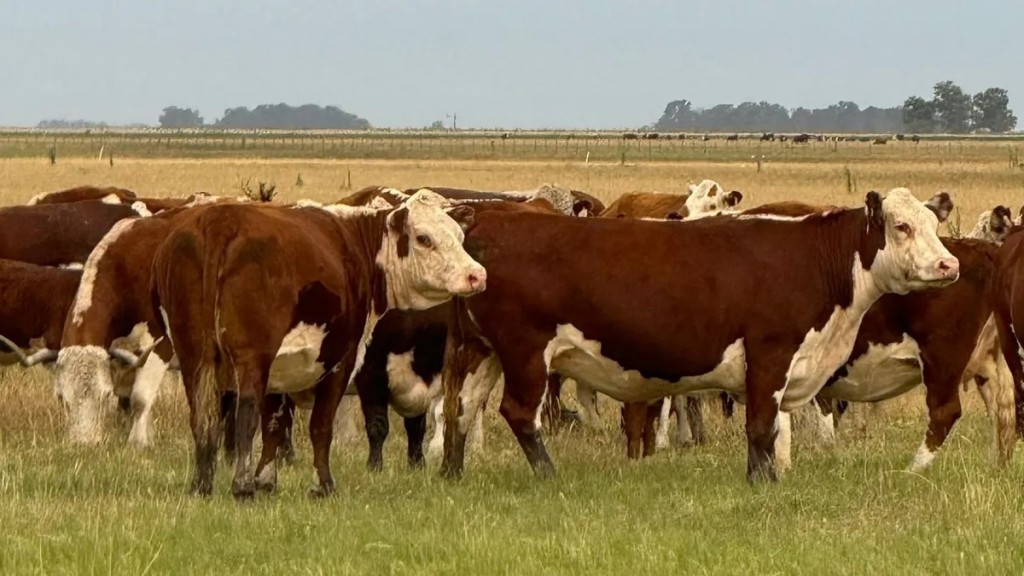 El INTA impulsa 40 planes que integran ganader&iacute;a y bosque nativo en 12 provincias