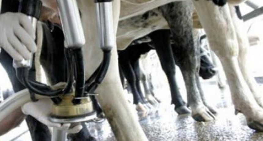 En un a&ntilde;o se perdieron 290 tambos en Santa Fe pese al liderazgo lechero provincial