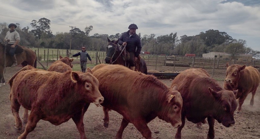 Estancia Los Choles vivi&oacute; su d&iacute;a de campo en Huanguelen