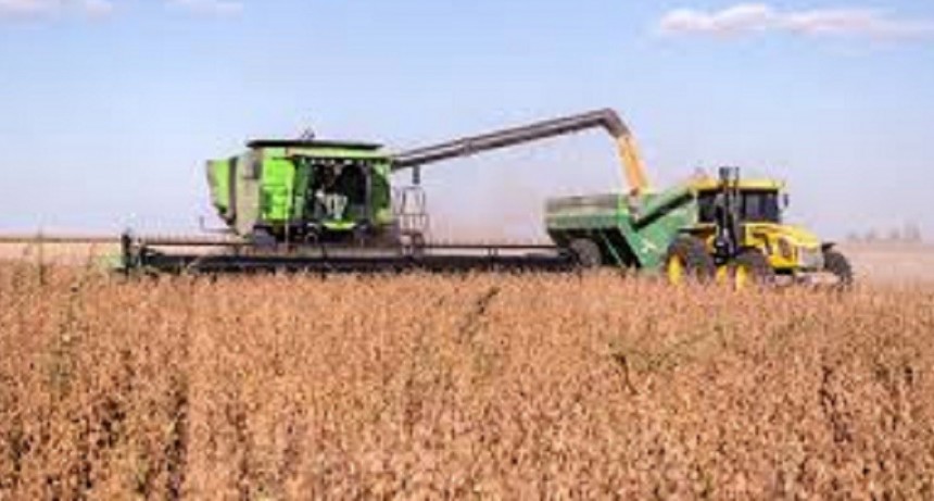El ingreso de divisas del campo es el m&aacute;s alto de la historia: US$ 25.696 millones en el a&ntilde;o
