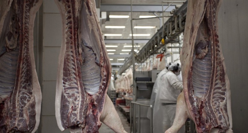 Nuevo mercado: Singapur habilita la importaci&oacute;n para la carne y productos porcinos argentinos