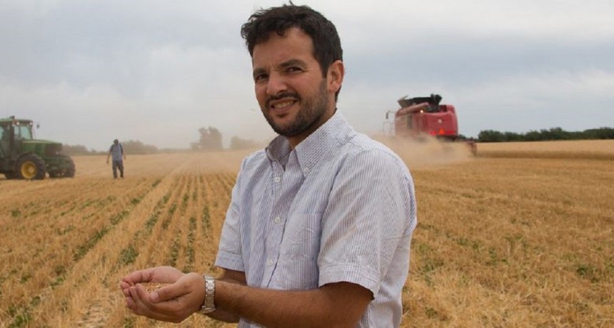 D&iacute;a del Agricultor y del Productor Agropecuario en Argentina: por qu&eacute; se celebra el 8 de septiembre