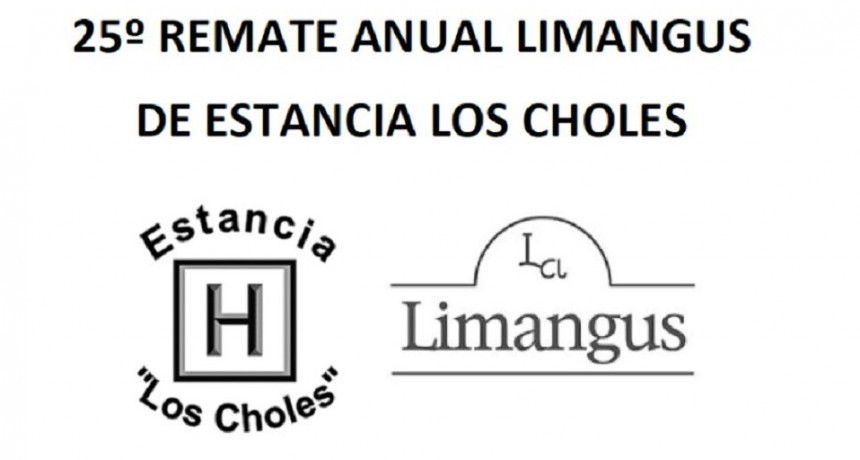 Se realiz&oacute; el remate de Estancia Los Choles