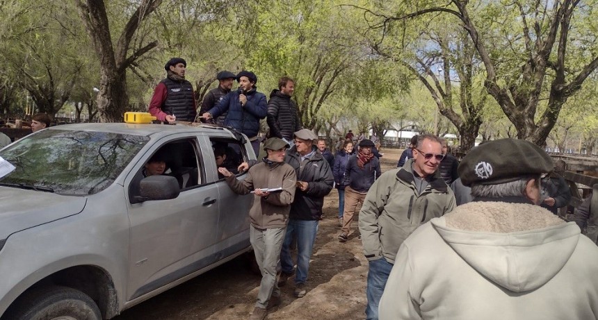 Remate Colombo y Magliano S.A. junto a Germ&aacute;n Alberdi en Olavarr&iacute;a