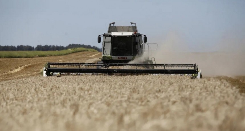 La Rural estim&oacute; que hasta marzo pr&oacute;ximo ingresar&aacute;n m&aacute;s de US$19.000 millones del campo