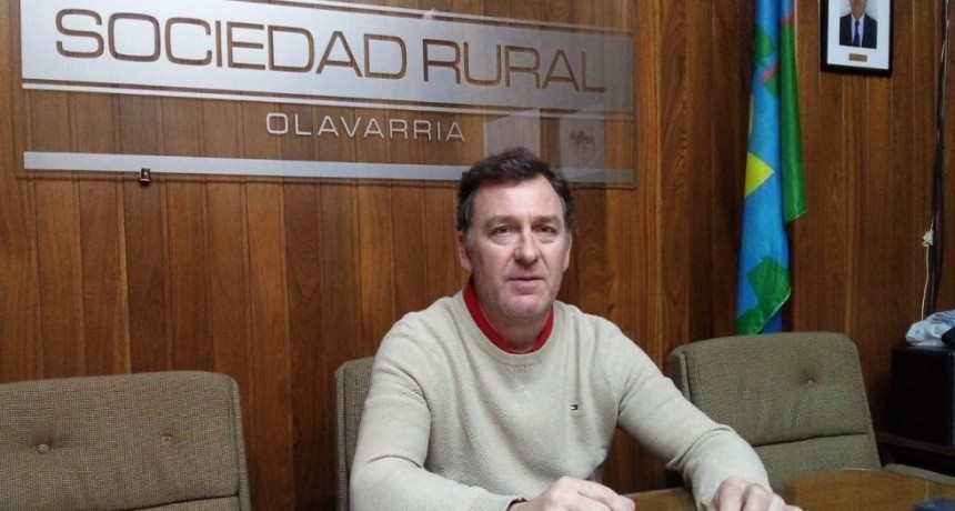 La Sociedad Rural de Olavarr&iacute;a destaca la importancia de la Exposici&oacute;n que se realiza la pr&oacute;xima semana