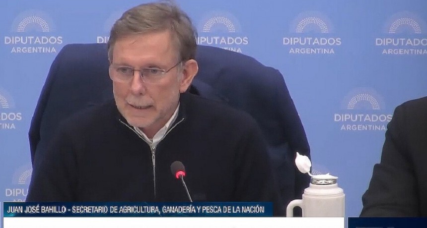 Seg&uacute;n Bahillo, en la campa&ntilde;a 2022/23 los productores invertir&aacute;n 20 mil millones de d&oacute;lares