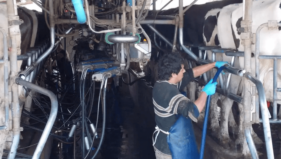 Entidades de la industria láctea advirtieron a Massa por la crisis del sector
