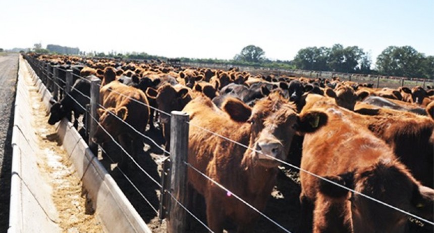 Fuerte apuesta al bienestar animal