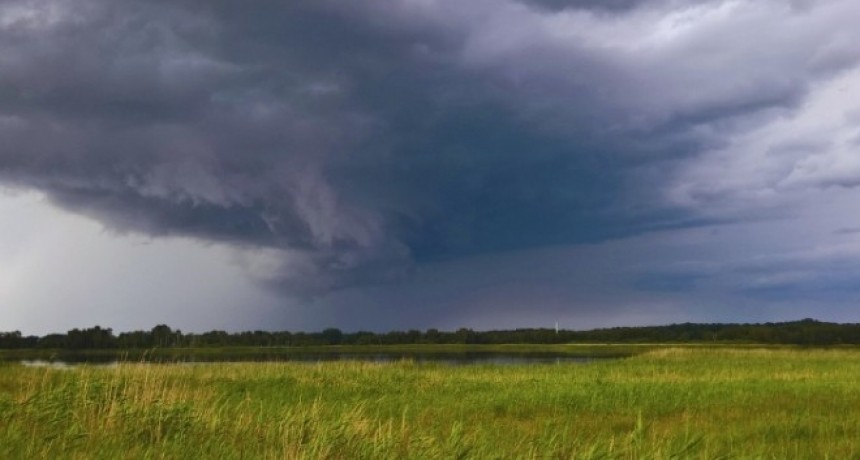 Lluvias por sobre lo estimado mejoran el panorama agr&iacute;cola en la zona n&uacute;cleo