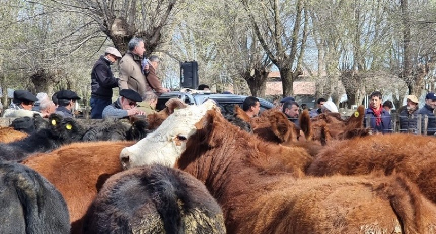 Remate Matteucci y Bardin en General Lamadrid
