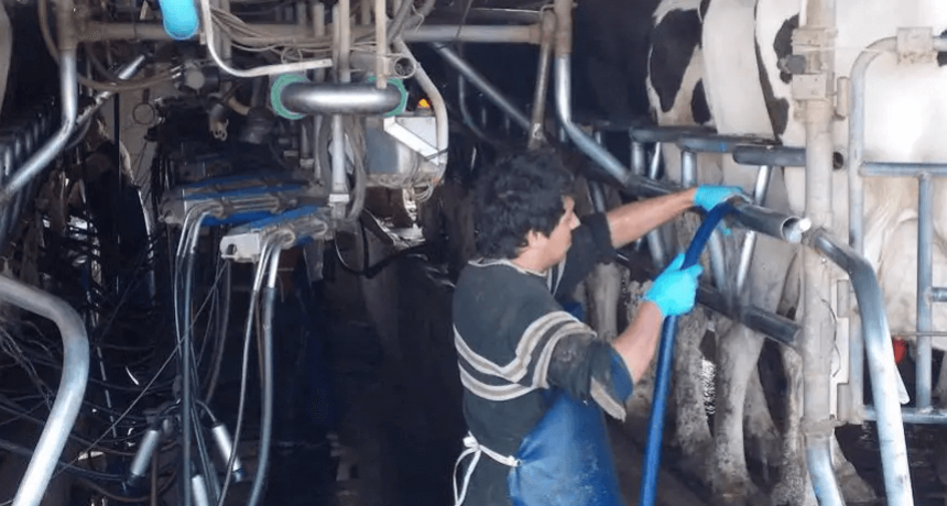 Impulso Tambero 2: 4571 productores recibir&aacute;n $5.955 millones para optimizar sus sistemas productivos y mejorar su rentabilidad