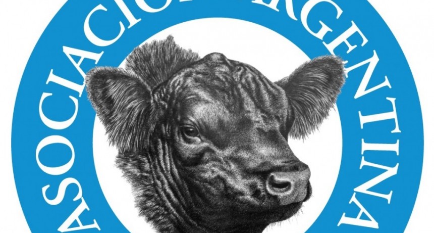 El lunes se har&aacute; el primer remate Angus 5 Estrellas en el Mercado Agroganadero de Ca&ntilde;uelas