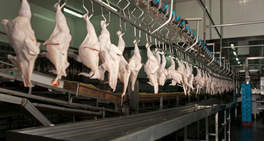 Arabia Saudita habilit&oacute; el ingreso de productos aviares procedentes de Argentina
