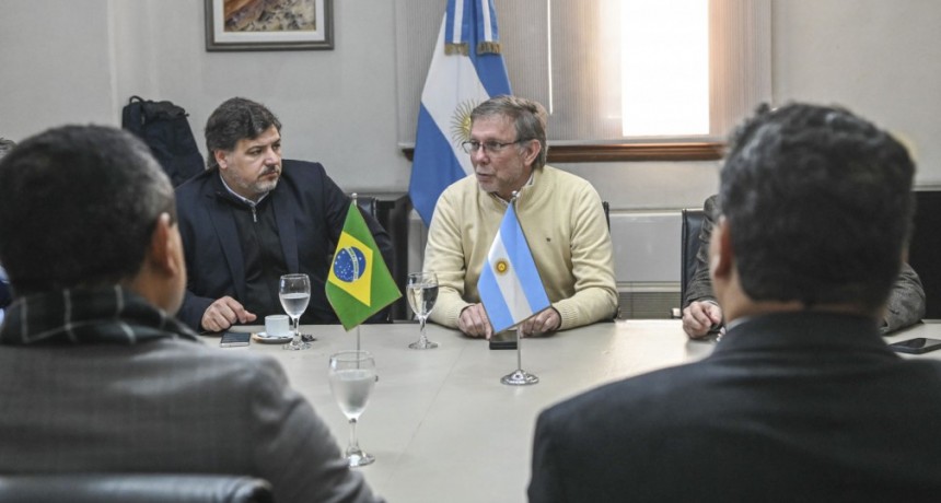 Bahillo se reuni&oacute; con representantes de Brasil para fortalecer pol&iacute;ticas regionales sobre fertilizantes