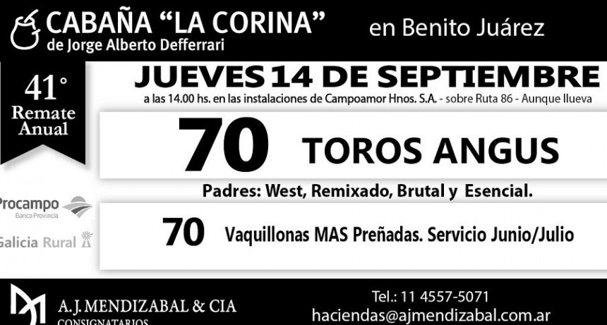 Este mi&eacute;rcoles se realiza el 41&ordm; remate anual de Caba&ntilde;a La Corina