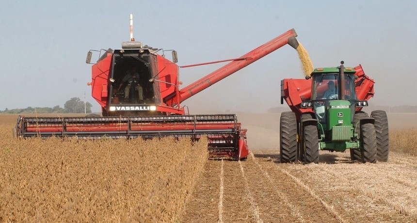 Soja: la superficie afectada al cultivo aumentar&iacute;a 1 mill&oacute;n de hect&aacute;reas