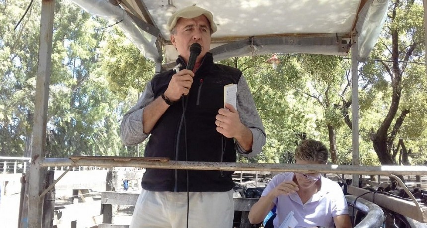 Tras el remate de Lomas Pampas, repasamos valores