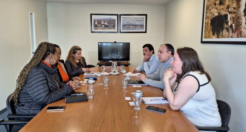 Argentina busca fortalecer la exportaci&oacute;n de agroalimentos y de gen&eacute;tica a Sud&aacute;frica
