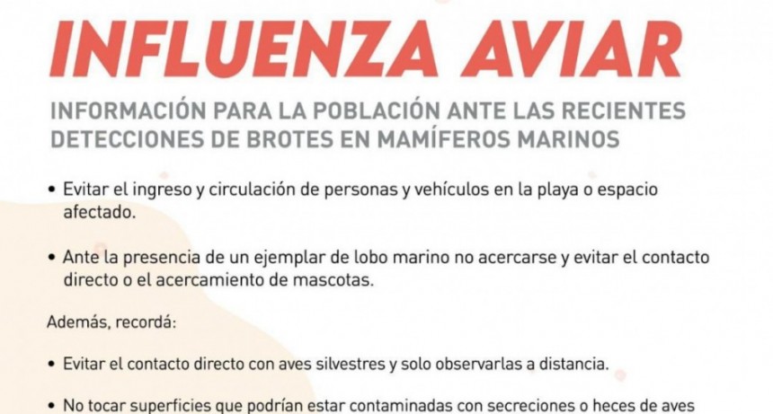 Influenza aviar: Situaci&oacute;n epidemiol&oacute;gica en mam&iacute;feros marinos en Argentina