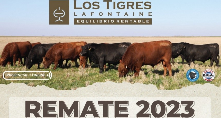 Este mi&eacute;rcoles se realiza el remate de Caba&ntilde;a Los Tigres de Lafontaine 