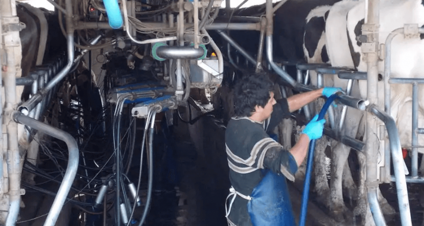 Entidades de la industria l&aacute;ctea advirtieron a Massa por la crisis del sector