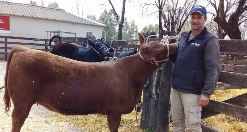 Comenz&oacute; la Expo Angus de Primavera en Olavarr&iacute;a