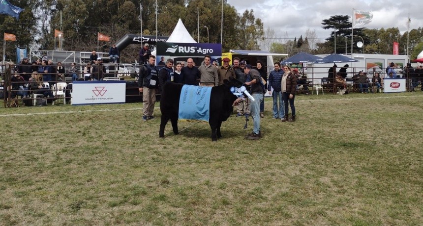  Expo Angus: Caba&ntilde;a Don Romeo sigue cosechando logros