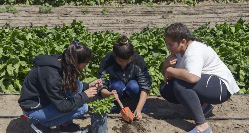 Agricultura lanza convocatoria a programa para escuelas agrot&eacute;cnicas