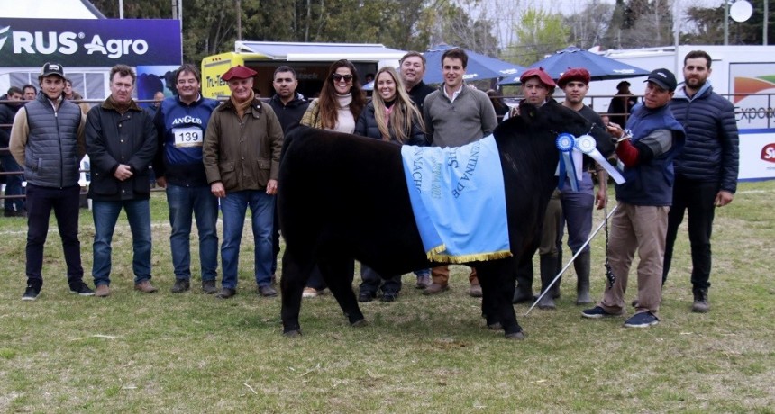 Arand&uacute; y Don Romeo con los premios m&aacute;s importantes en la Nacional del Ternero Angus