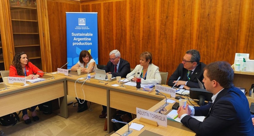 &ldquo;El rol articulador del Estado es clave para promover la investigaci&oacute;n y el desarrollo&rdquo;