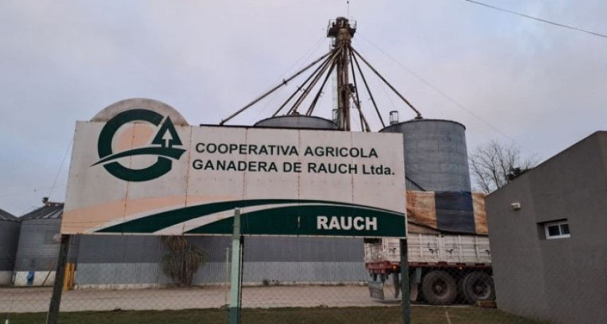 Una cooperativa marca la diferencia con procesos m&aacute;s eficientes