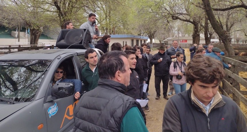  Balance de las ventas del remate de Alfredo S. Mondino en Olavarr&iacute;a