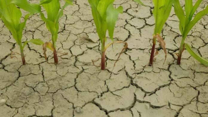 La primavera viene de la mano de “La Niña”, que traerá sequías y bajas temperaturas