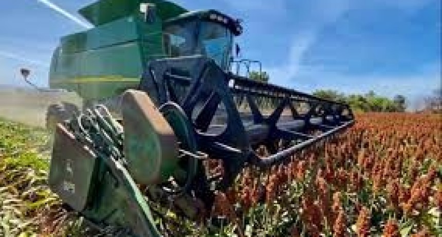 Finaliz&oacute; la cosecha de sorgo que alcanz&oacute; las 3 mill/ha
